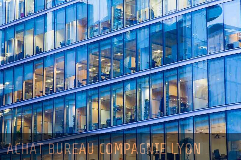 Achat bureau société Lyon