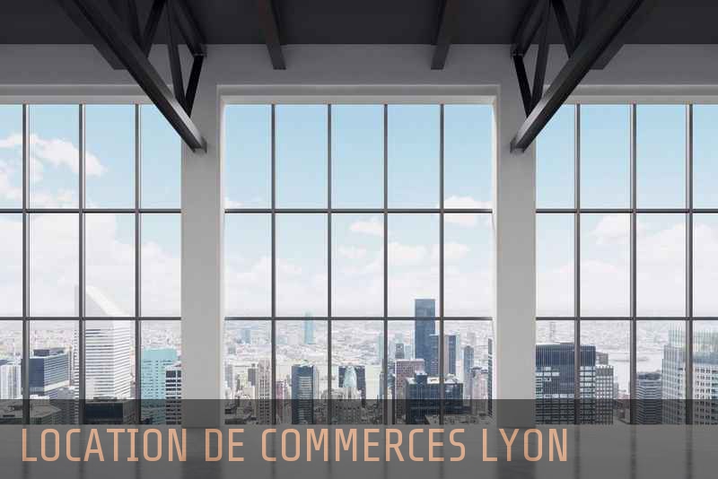 Location commerces Lyon